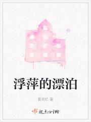 浮萍的漂泊 浮萍的漂泊