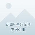 土豪美利坚 土豪美利坚