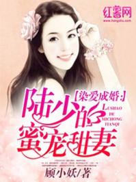 陆少的蜜宠甜妻 陆少的蜜宠甜妻