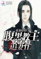 金牌财妻:腹黑教主追妻忙 金牌财妻:腹黑教主追妻忙