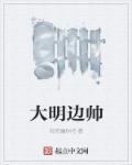 大明边帅 大明边帅