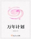 万年计划 万年计划