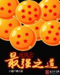 龙珠之最强之道 龙珠之最强之道
