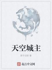 天空城主 天空城主