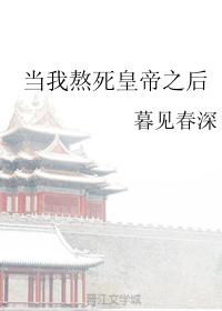 当我熬死皇帝之后 当我熬死皇帝之后