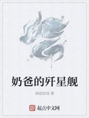 奶爸的歼星舰 奶爸的歼星舰