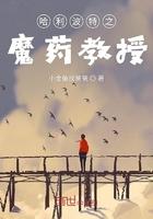 哈利波特之魔药教授 哈利波特之魔药教授
